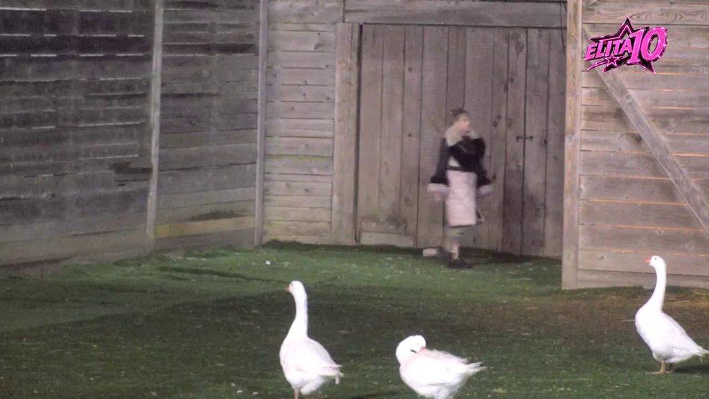 NIJE JOJ DOVOLJNO ŠTO PLAČE: Biljana pokušala da se osami, pa patke krenule u poteru za njom! (VIDEO)