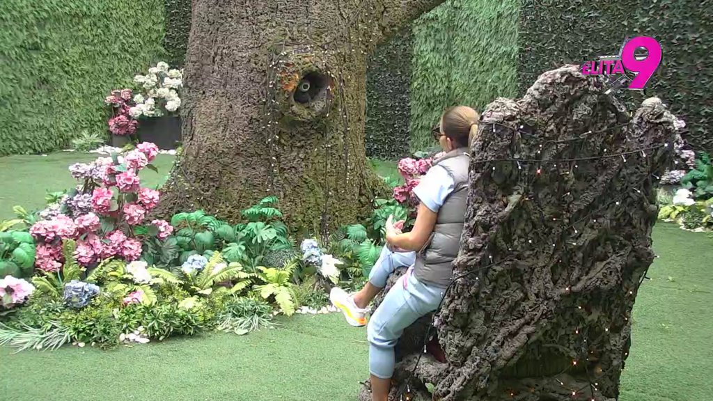 Nije mi jasno zašto mu se pravda? Kačavenda obelodanila sva dešavanja Maje i Alibabe, ništa joj nije promaklo! (VIDEO)