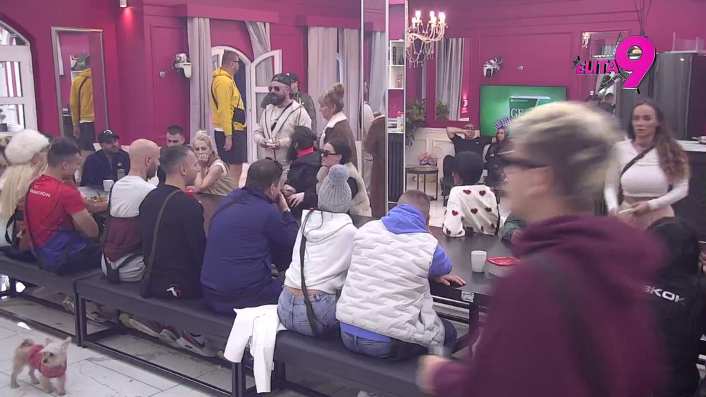 NEĆE SA ANELI, HOĆE SA ANITOM? Luka ne može da ne prokomentariše Ahmićevu: Jaka je u nogama! (VIDEO)