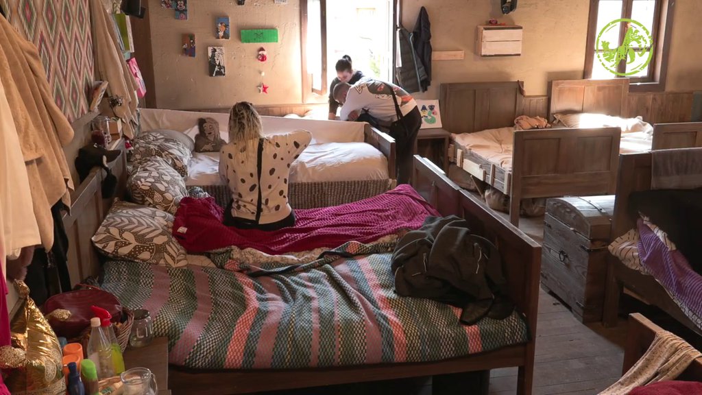Aleksandra unela KOKOŠKU U SPAVAĆU SOBU: Postavila je da leži na jajima i očekuje MALE PILIĆE (VIDEO)