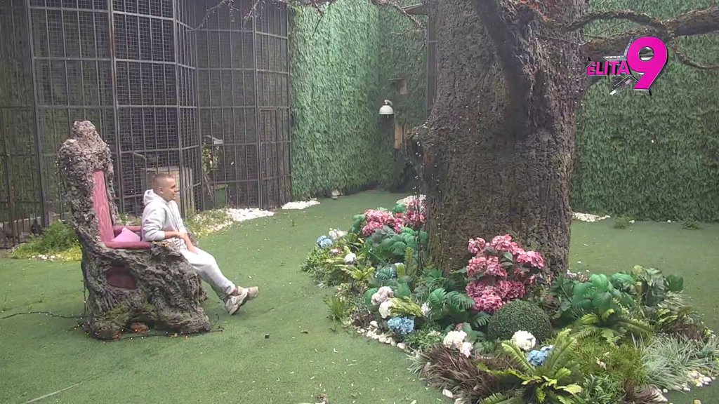 VEOMA BRZO ĆE UĆI U VEZU: Dača uveren da Maja priprema teren za ozvaničenje odnosa sa Asminom, te da ga namenski ODVAJA od svih prijatelja: NEĆE ON BITI NJENA PUDLICA... (VIDEO)