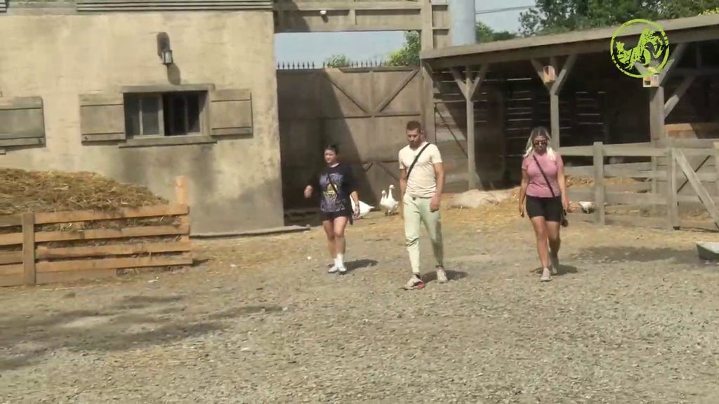 PECI JE DANAS BOLJE DA ĆUTI: Napao Enu pa ga dočekala britka sablja BOŽE DŽONSA! (VIDEO)