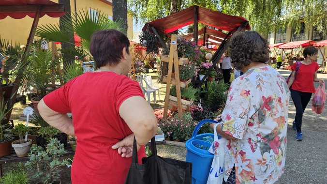 galerija