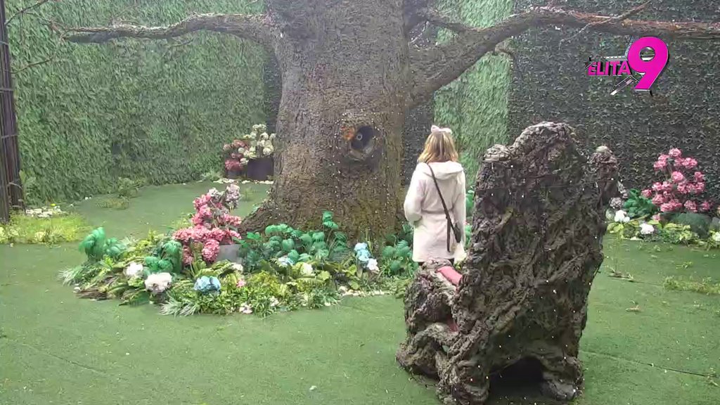 Asmin je KUKAVICA, želeo je samo odnose sa čuvenom Majom Marinković! Aneli nikad brutalnija prema bivšem partneru, Staniji rešila da da JOŠ JEDNU ŠANSU! (VIDEO)