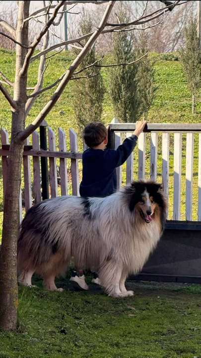Monstruozno! Nadeždi Biljić na mrežama ŽELE SMRT posle borbe s karcinomom, Toma Panić stao u zaštitu porodice: Dete nam nazivaju čudovištem i nakazom!