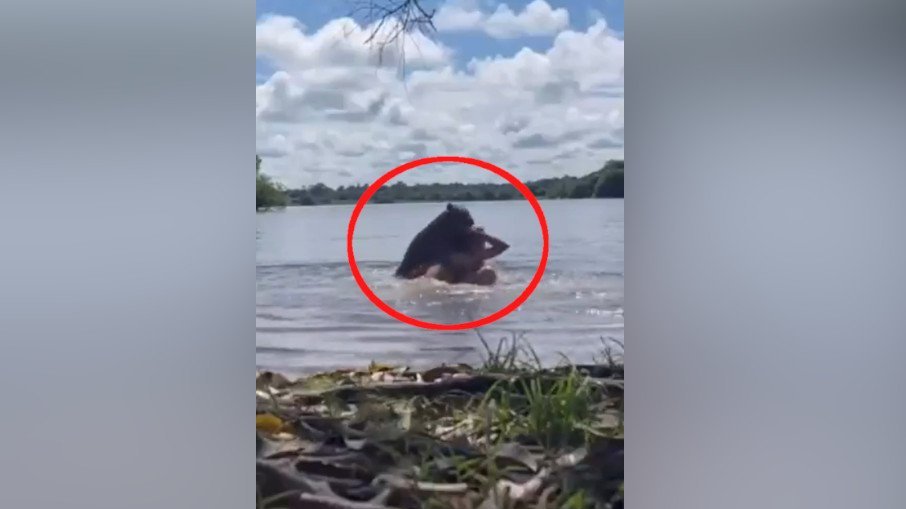 NAJVEĆI GLODAR NA SVETU NAPAO ŽENU U VODI: Jedva izvukla živu glavu, scena kao u horor filmu (VIDEO)