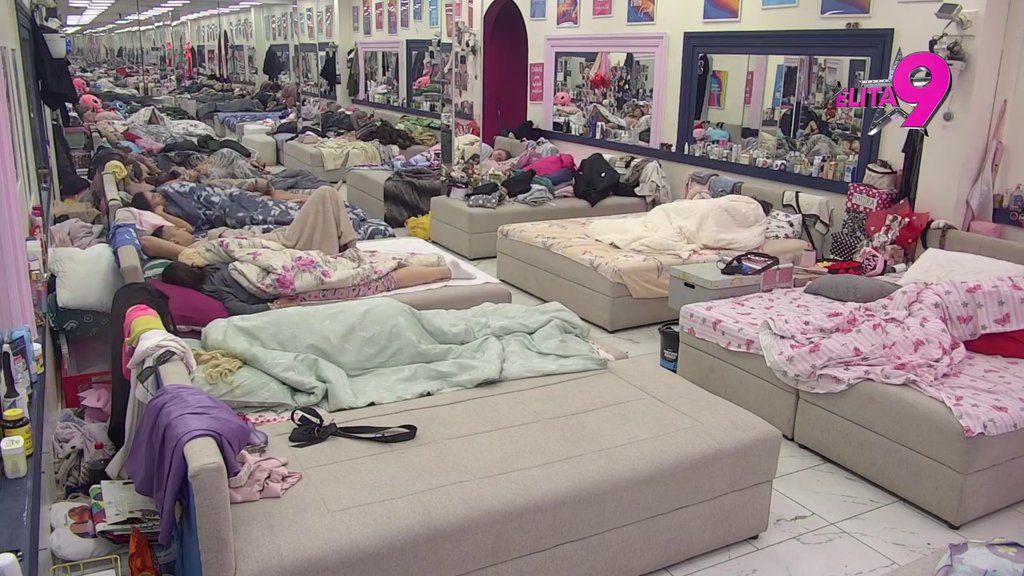 Novi dan, nova energija! Veliki šef probudio učesnike, evo ko je prvi skočio iz kreveta! (VIDEO)