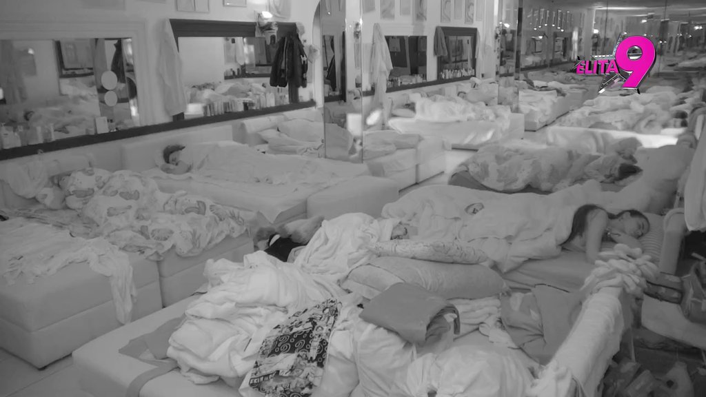 Oglasio se Veliki šef: Takmičari nemaju pravo na grešku!  (VIDEO)