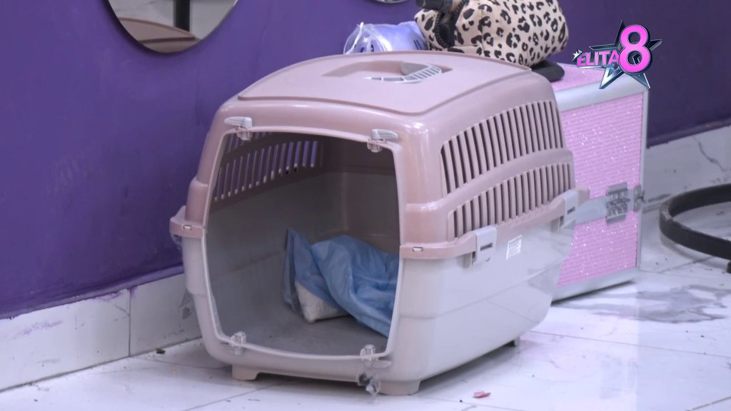 KERU, AJDE, UPADAJ! Sandra nosilicom za pse pokušala da ponizi Luku, pa rešila da ZAKUCA za sam kraj i poruči mu da će se videti sa njegovim ocem! (VIDEO)