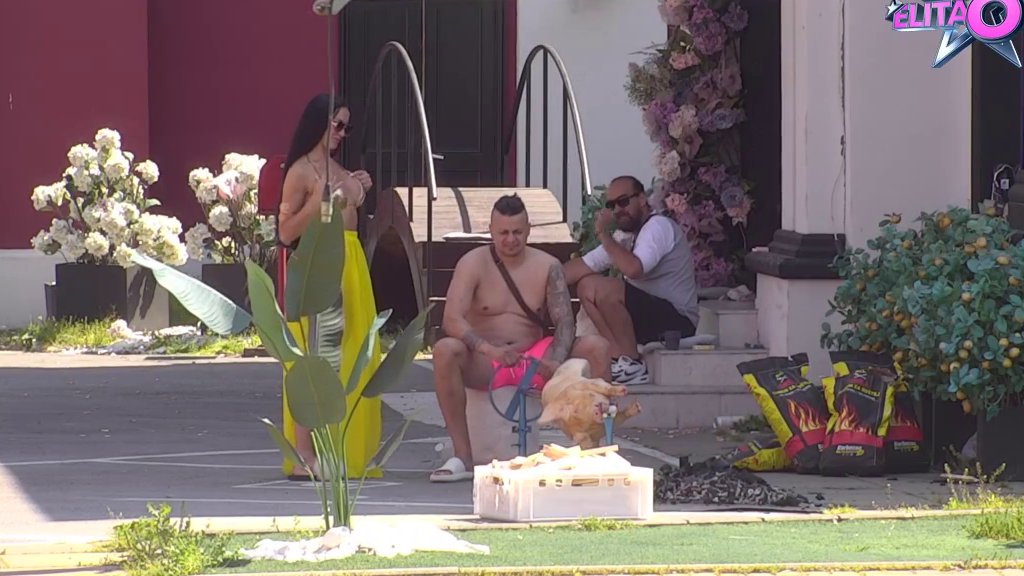 Kraljica poniženja: Slađa se srozala da nema dalje i ponudila Terzi pomoć, ali da joj plati u naturi! (VIDEO)