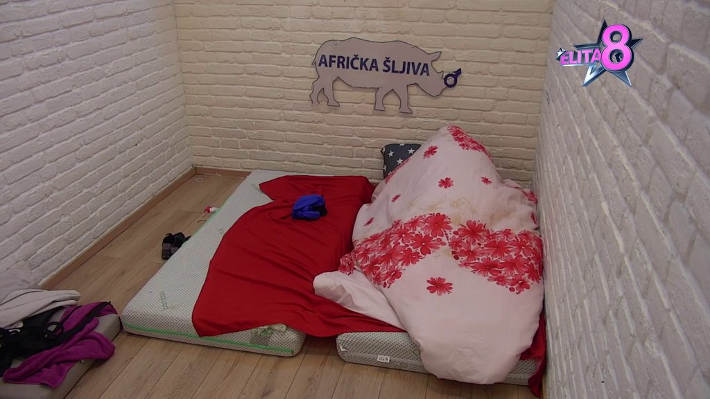 ZATRESLI ZIDOVE: Matea i Zola se osamili u izolaciji, pa rasplamsali plamen strasti! (VIDEO)
