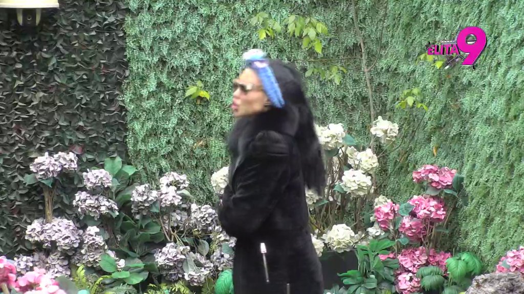 DOPADAM SE ASMINU: Maja progovorila o odnosu sa Durdžićem, otkrila na kakvoj je ralaciji sa Filipom, pa žestoko oplela po Teodori i Bebici! (VIDEO)