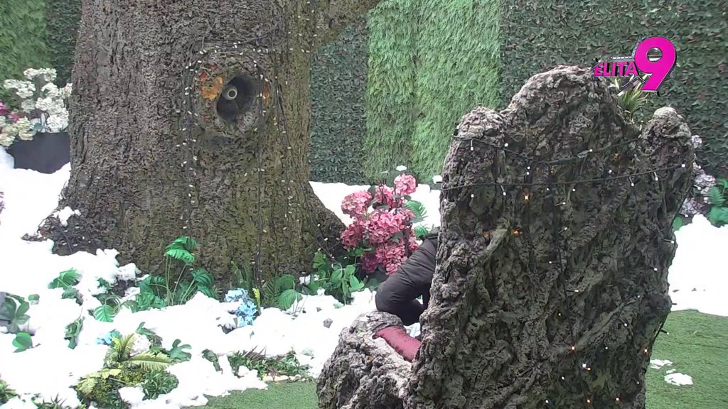 MOGLA JE MIRNIJE DA ODREAGUJE: Uroš dao svoj sud o sukobu Milice i Terze, osvrnuo se na njegov odnos sa Sofijom, pa istakao da Janjuš gleda na Milenu kao zabavu:  ONA MU JE USLUŽNI SERVIS! (VIDEO)