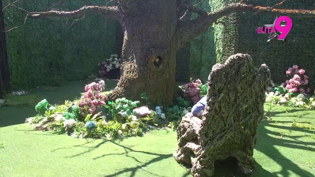 ONA JE U ODNOS S NJIM UŠLA IZ INATA STANIJI: Dača RASKRINKAO Maju, otkrio da traži od učesnika vetar u leđa da RASKRSTI sa Asminom: DA GA VOLI, NE BI JE ZANIMALO KO ĆE ŠTA REĆI! (VIDEO)