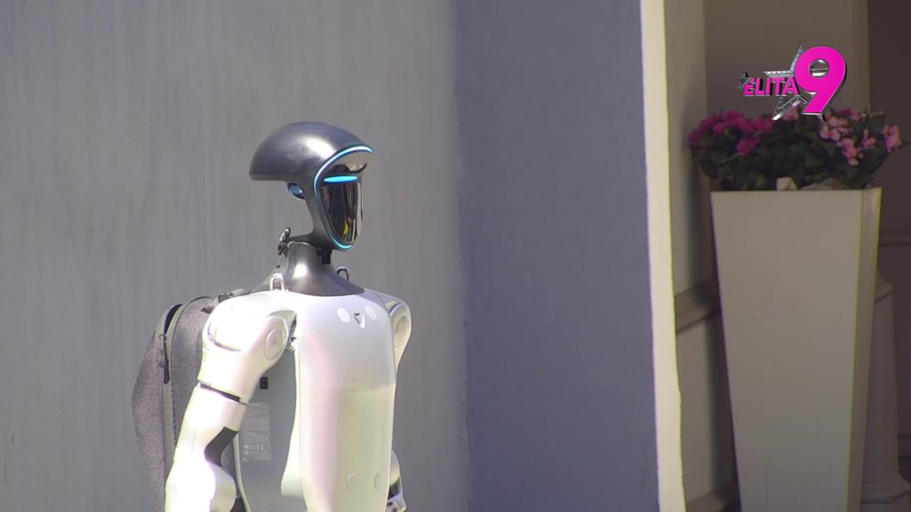 Klošar, nije za bolje sem da kuva i pere: Sofija pukla od besa i brutalno izvređala Terzu, ne može da oprosti sebi pomirenje s njim! (VIDEO)