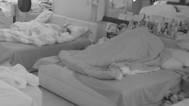 U CIK ZORE VRELA AKCIJA! Mina i Viktor zatresli jorgan planinu pred punom sobom, SVE PRŠTI OD STRASTI! (VIDEO)