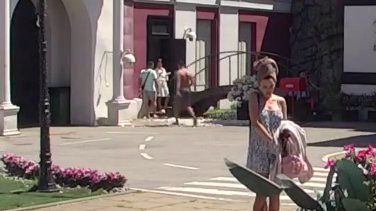 Danas želi da izdominira: Stanija se ozbiljno sprema za podelu budžeta, neće dozvoliti sebi kiks! (VIDEO)