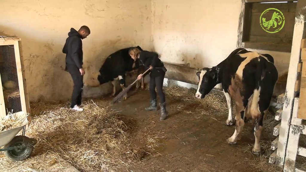 U OVOJ ULOZI JE RETKO VIĐAMO! Sneža Kušadasi dohvatila metlu, pa pokazala koliko se dobro snalazi u štali (VIDEO)