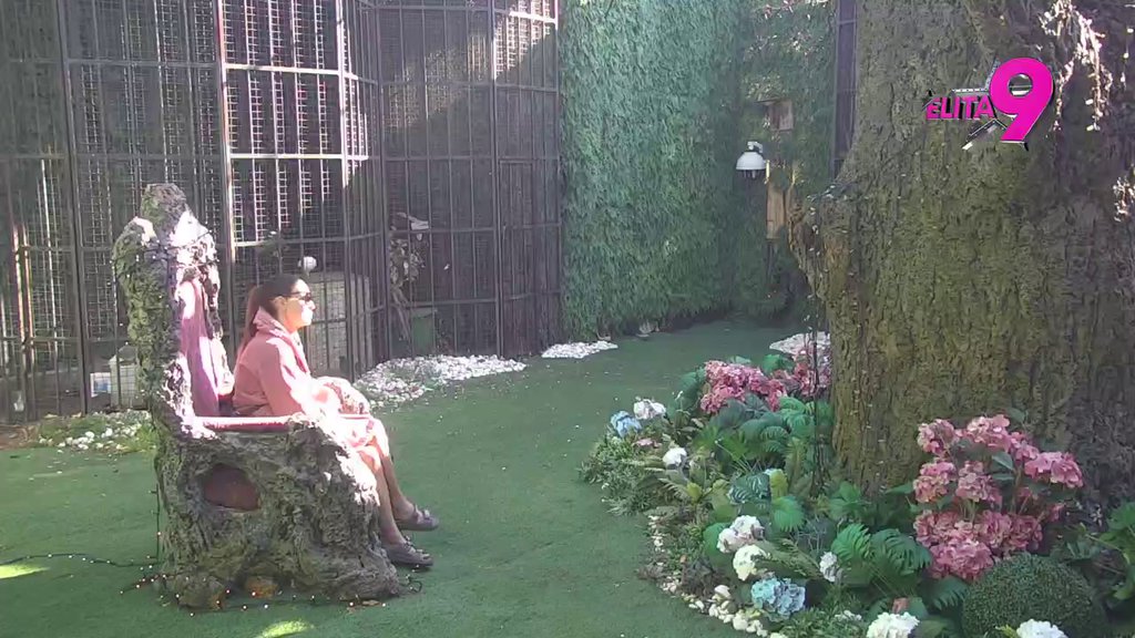 DANIMA SE OSEČAM NEMOĆNO, IZBAČENA SAM IZ KOLOSEKA: Milena do srži razočarana u Sofiju, kivna jer je izdala prijatelje zbog Terze: NJEGA JE STAVILA ISPRED SVIH, BIVŠA JUGA ME JE PLJUVALA ZBOG NJE! (VIDEO)