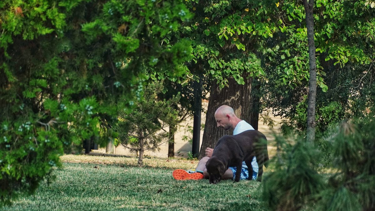 Ako je na Vidovdan sunčano i toplo vreme to znači samo jedno: Narodno verovanje donosi berićet i blagostanje