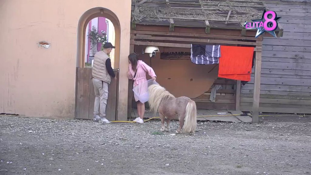 Smeh do suza! Peja održao čas ponašanja PONIJU dok Ena beži po imanju: Đuskaj sa guskama! (VIDEO)