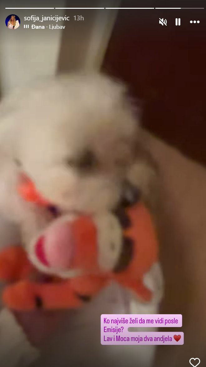 Pavle obasipa Sofiju poklonima! Oglasio se za Pink.rs i otkrio da li je bacio oko na nju: Ma kakav isti odnos kao sa Anđelom, ovo je...
