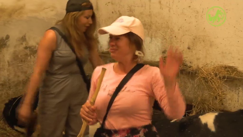 VREME JE ZA ŠOU! Farmeri pokazali koliko dobro su navežbali svoje PERFORMANSE, Sneža Kušadasi oduševila sve (VIDEO)