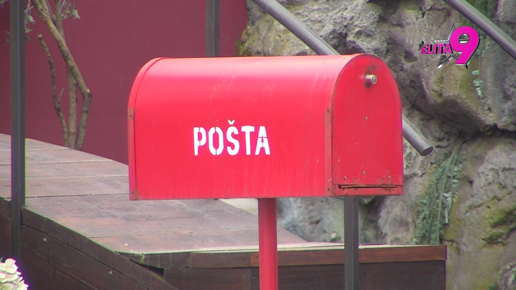 PREPUN IZNENAĐENJA: Veliki šef rešio da iznenadi učesnike Elite povodom DANA ZALJUBLČJENIH! Ovome se nisu nadali! (VIDEO)