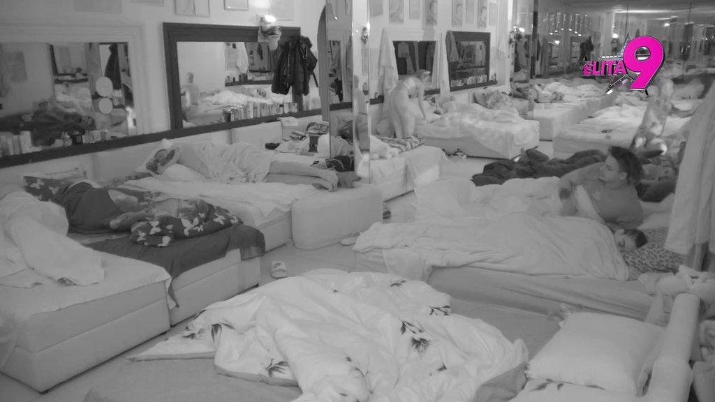 Terza dvilja u cik zore: Mina napustila krevet, on digao celu kuću na noge! (VIDEO)