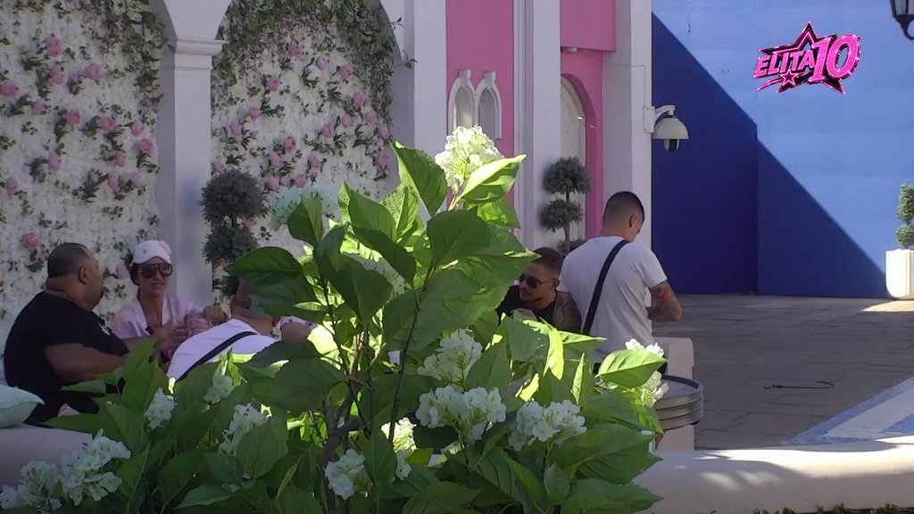 Poršelina okupila MUŠKI HAREM! Osam muškaraca oko nje, ne zna gde će pre (VIDEO)