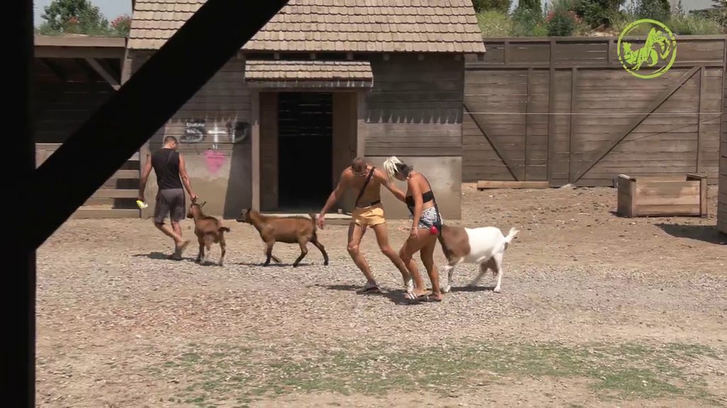 Boža na VELIKIM MUKAMA: Hteo da napravi spektakl, pa izvukao deblji kraj, Elena mu pritekla u pomoć (VIDEO)
