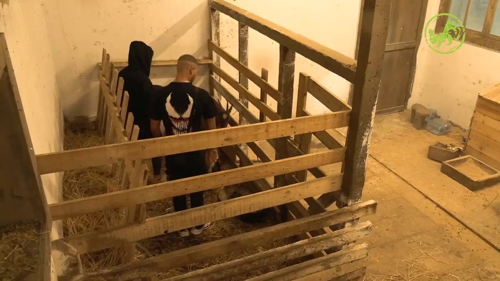 ČEKAM TE NA STAROM MESTU - TAMO GDE LJUBAV POČINJE! Ena i Ognjen se našli na mestu gde su započeli romansu: Evo o čemu su razgovarali (VIDEO)