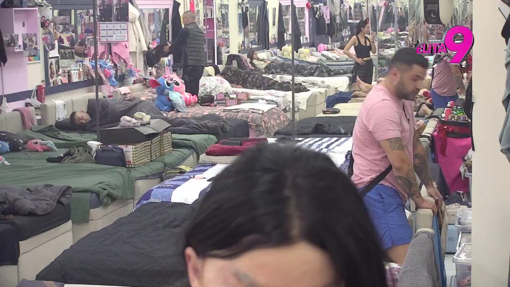 Veza s tobom mi je kao zatvor: Alibaba shvatio u kakav se pakao upustio, Maja se ne smiruje! (VIDEO)