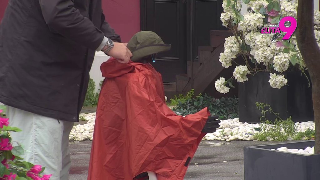 SREĆNE OČI ŠTO TE VIDE! Toša stigao u Elitu, Janjuš mu odmah poleteo u zagraljaj! (VIDEO)