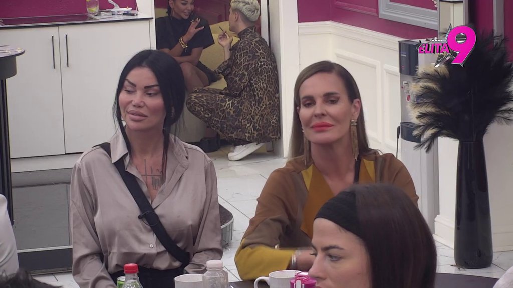 Kuja bez pedigrea: Zorica najavila brutalno raskrinkavanje Kačavende, pa otkrila prvu šok informaciju o njoj! (VIDEO)