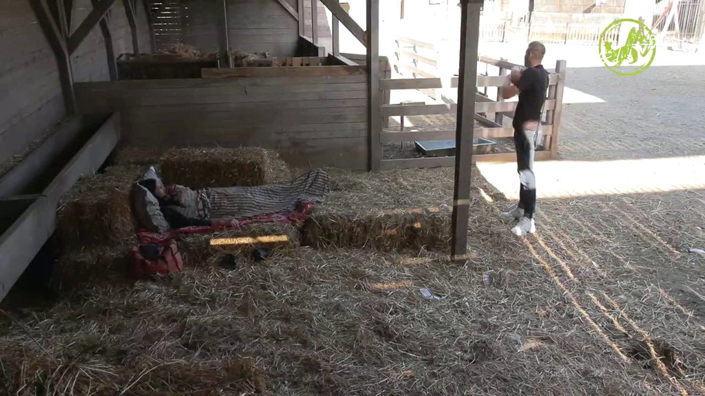 Farmeri PLAČU OD SMEHA, a Boža na ivici suza zbog NEPRIJATNOSTI koju mu je Kristijan priredio: Evo o čemu je reč (VIDEO)