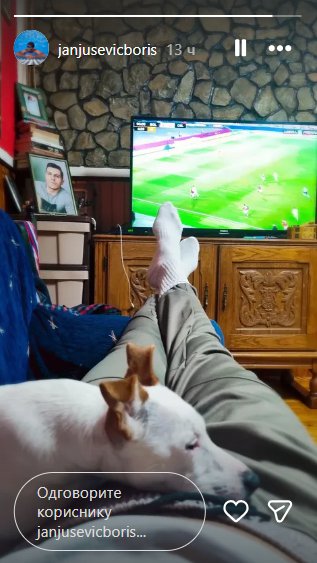 Evo gde se nalazi Vesna: Janjuševog psa zavoleli su svi gledaoci Elite, a sada je otkriveno ko brine o njoj (FOTO)