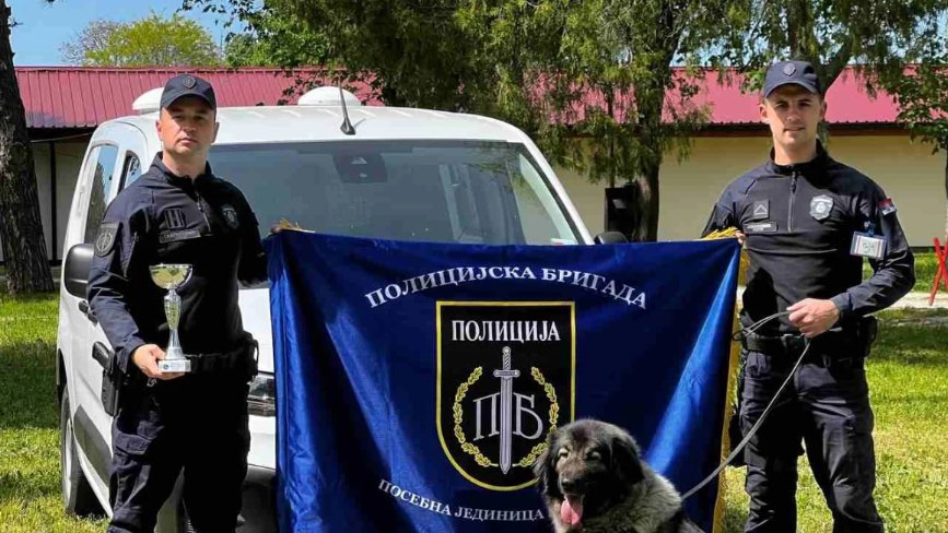 Iskra briljirala u Zabeli: Policijski šarplaninac osvojio CAC i prvo mesto