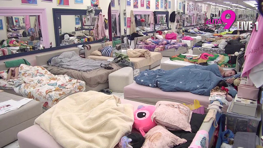 NI MAKAC! Veliki šef se oglasio, a u spavaćoj sobi MRTVO MORE! (VIDEO)