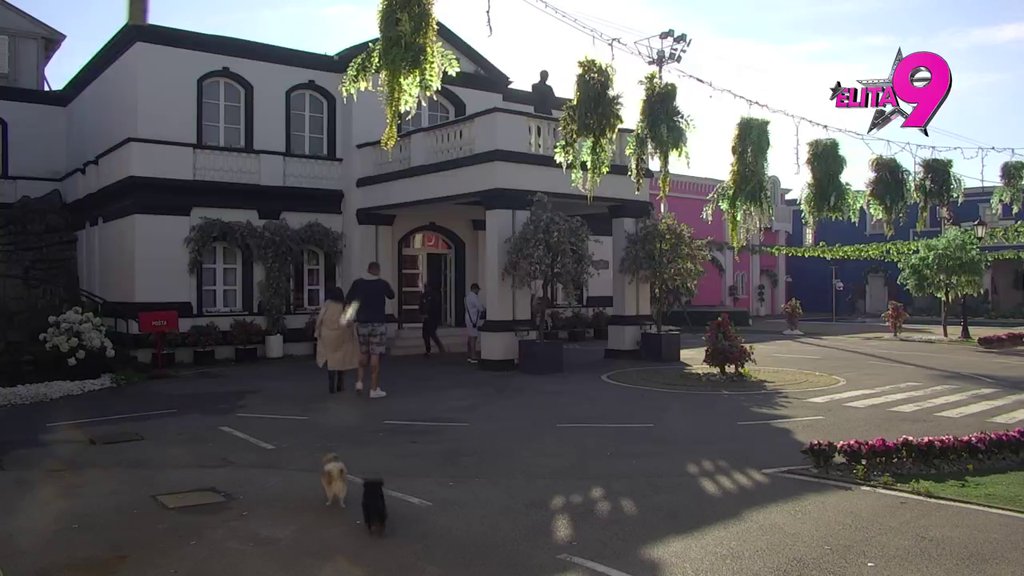 MAJA I JAŠKO IZVISILI! Luka ih ponudio tortom, PA POVUKAO ČIN VELIKODUŠNOSTI! Oni ostali kratkih rukava! (VIDEO)