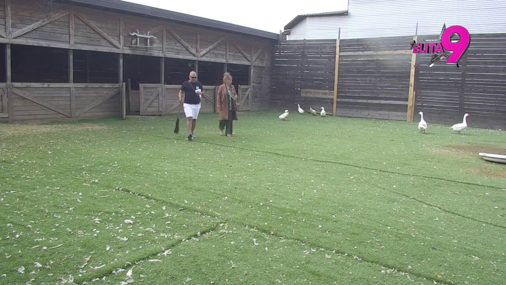 ODUŠEVILA SE: Džehva saznala da Elita ima nove stanovnike, odmah Bori dala savet šta da rade sa njima (VIDEO)