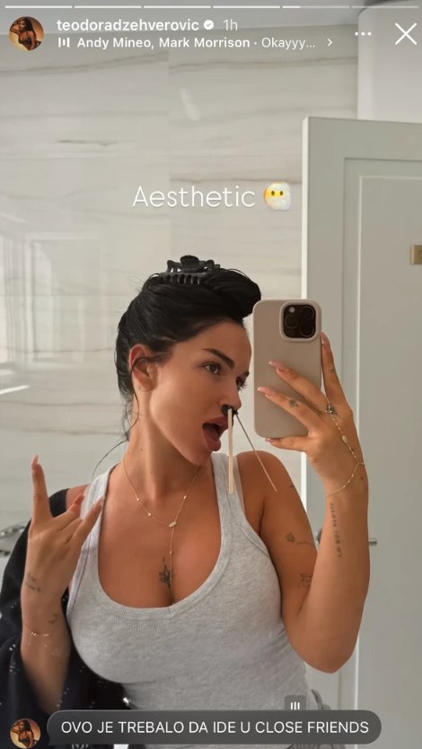 Džehva kliknula pogrešno dugme, pa napravila HAOS! Teodorina fotka iz kupatila usijala mreže (FOTO)
