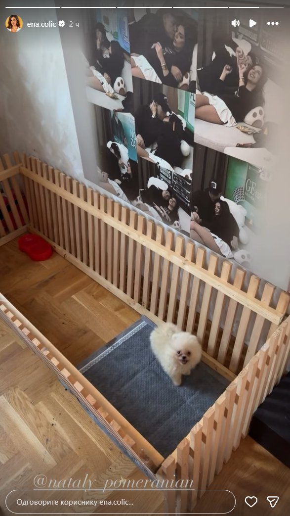 STIGLA PRINOVA U DOM ENE ČOLIĆ I PEJE! Bivši rijaliti par podelio najlepše vesti, odmah se pohvalili novim članom porodice (FOTO)
