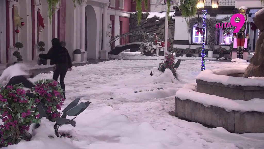 Došla mu Anita glave: Luka pokušao da zaprosi Stanojlovićevu, pa se srušio kao kula karata! (VIDEO)