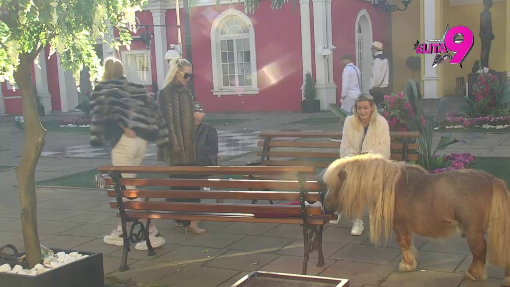 OVO JE BUNDA, NIJE ŽENKA ZA TEBE! Iva skočila kao oparena kad joj je PRIŠAO PONI, šokantne izjave! (VIDEO)