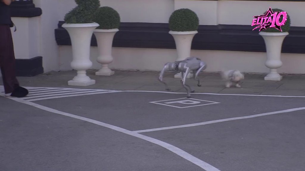 ODUŠEVILI SE: Toša ušao u Elitu sa Fifijem, svi gledaju u njega (VIDEO)