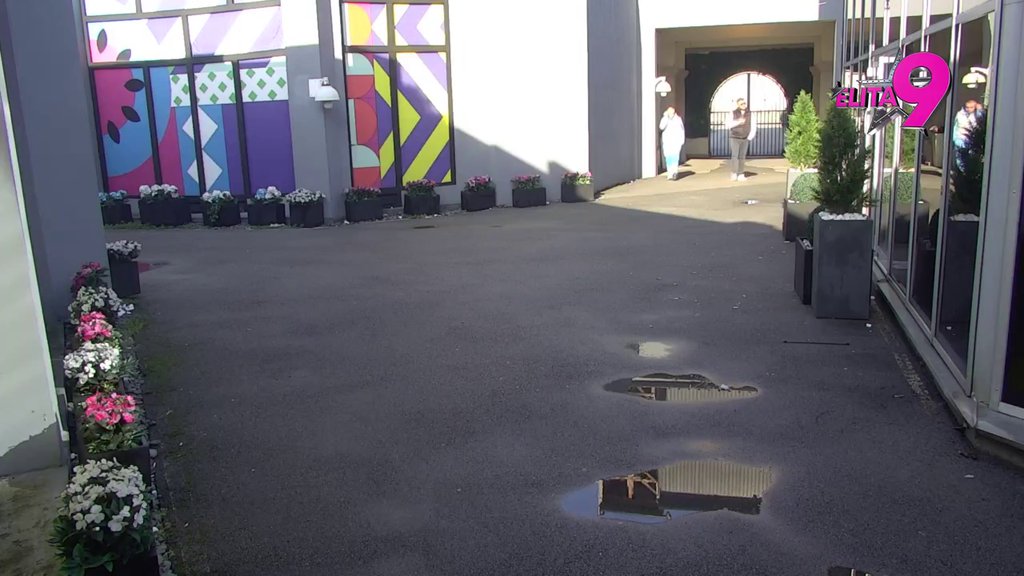 PONAŠANJE TI JE KATASTROFALNO, BIĆE OD IGRAČKE PLAČKE! Dača upozorio Alibabu da ne PECKA Maju, ovaj se odmah BRECNUO! (VIDEO)