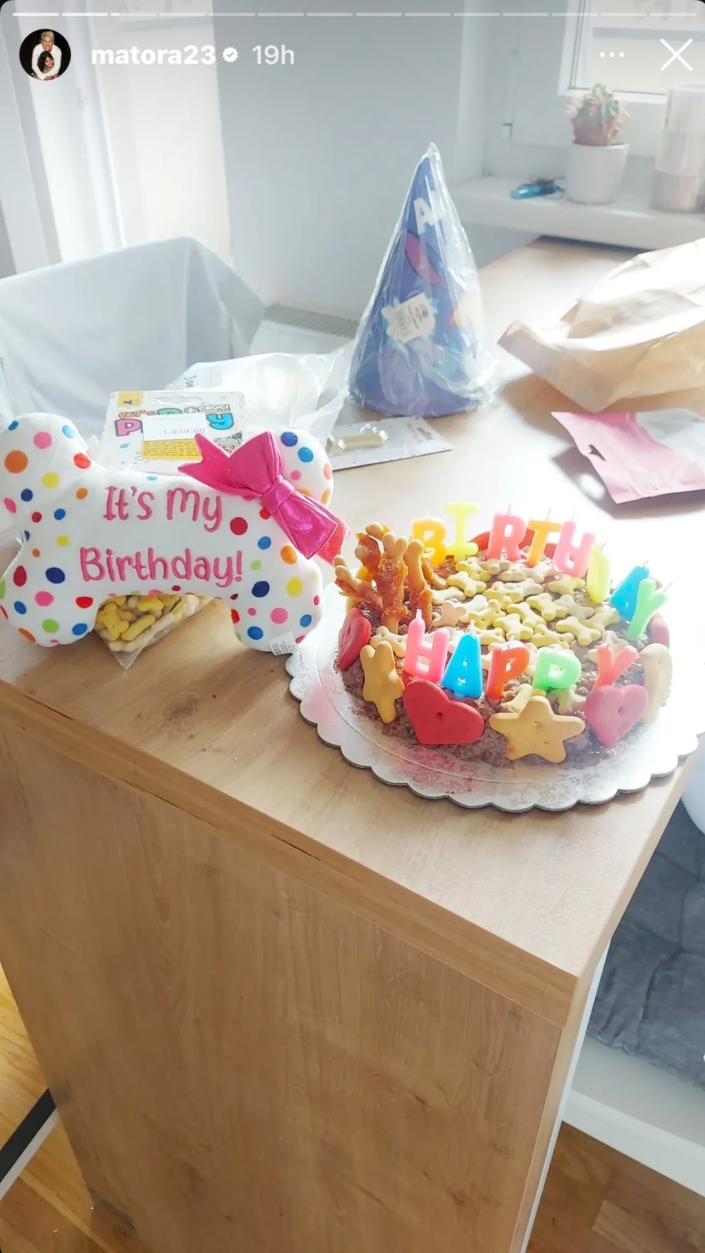 Matora, Dragana i mali Džumi ponovo na okupu: Pogledajte kako su proveli prvi zajednički dan nakon Elite, ljubimcu priredile iznenađenje! (FOTO)