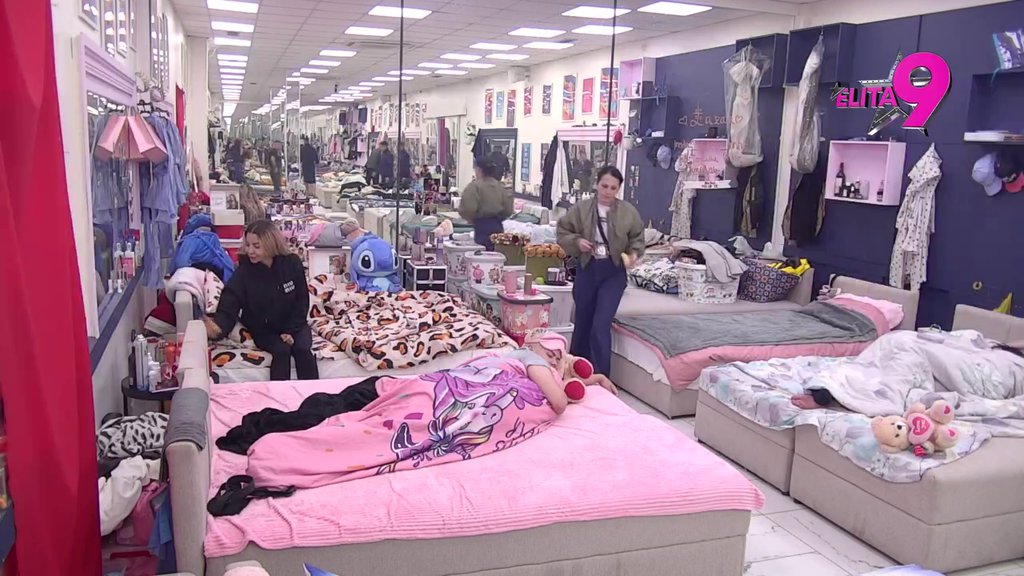 Ne bira sredstva da mu se približi: Aneli napala Janjuša zbog blaćenja Filipa Cara (VIDEO)