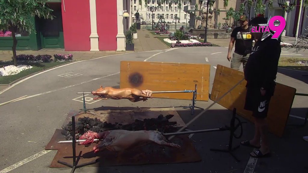DOMAĆINSKI! Učesnici ELITE praznuju Prvi maj kako dolikuje! Obrću jagnje i prase na ražnju, od ovoga kreće voda na usta! (VIDEO)